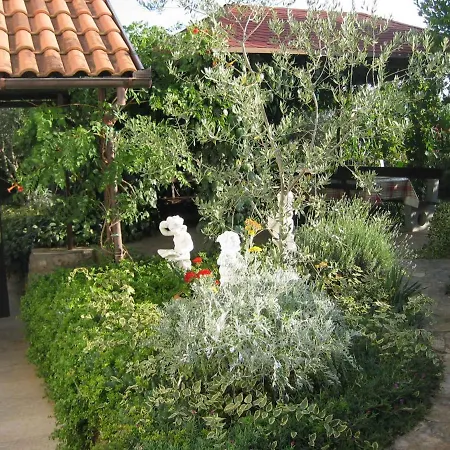 3 * Ždrelac